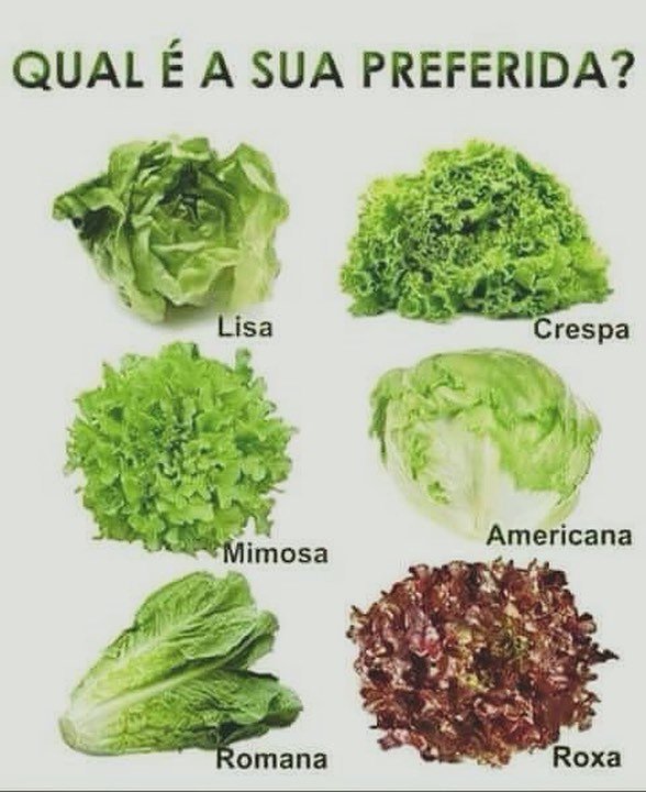 Eu prefiro a americana….😏😂😋