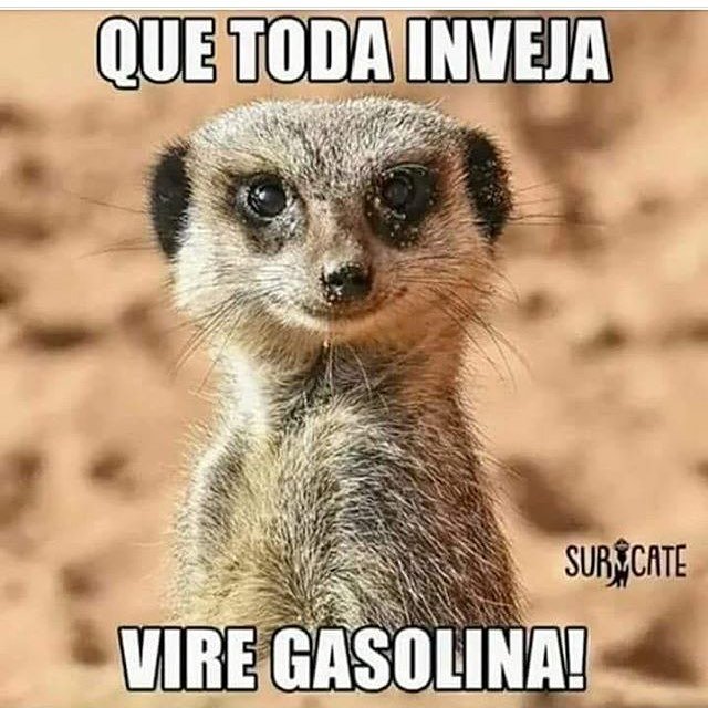 Hahaha😂Um pouco  de humor!!
#vamossorrir #boatardinha